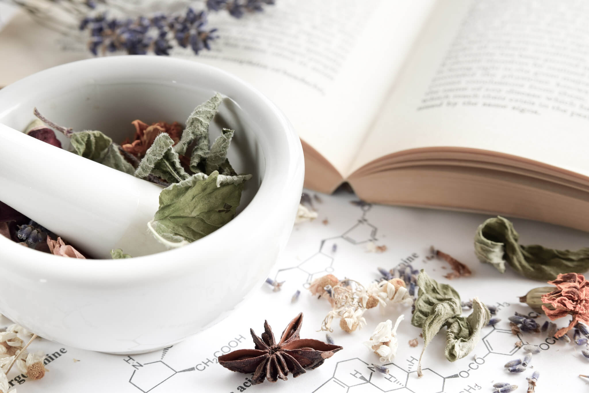Die besten Ayurveda-Ausbildungen – Möglichkeiten und Entscheidungshilfen