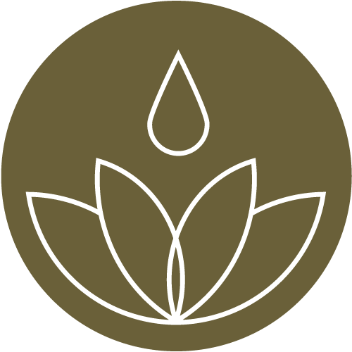 Dosha Vata