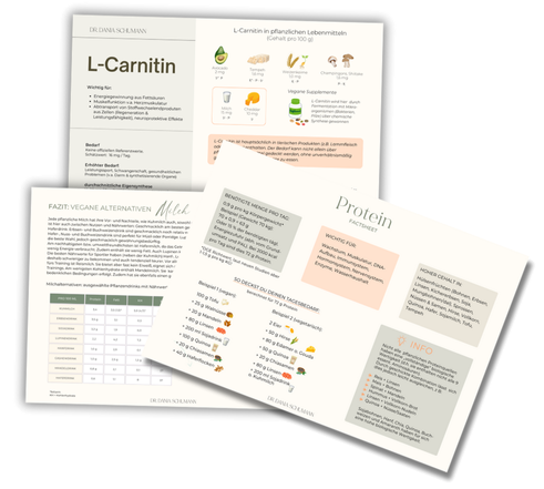 Vorschau Handouts Ayurveda-vegan: typgerechte Lebensmittel + Nährstoffe